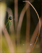 Enlarge photo 105