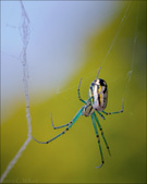 Enlarge photo 106