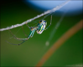 Enlarge photo 107