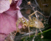 Enlarge photo 247