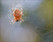 Enlarge photo 127