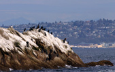 Enlarge photo 160