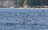 Enlarge photo 161