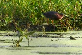 Enlarge photo 33