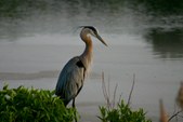 Enlarge photo 47