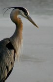 Enlarge photo 48