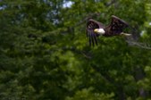 Enlarge photo 113