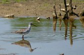 Enlarge photo 110
