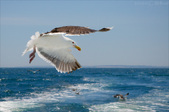 Enlarge photo 153