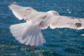 Enlarge photo 154