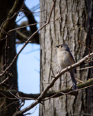 Enlarge photo 128