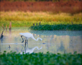 Enlarge photo 132