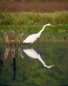 Enlarge photo 139