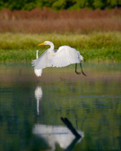 Enlarge photo 141