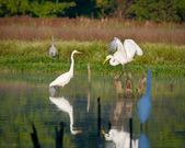 Enlarge photo 143