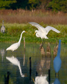 Enlarge photo 144