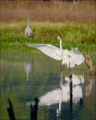Enlarge photo 145