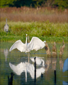Enlarge photo 146