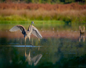 Enlarge photo 147