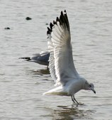 Enlarge photo 44