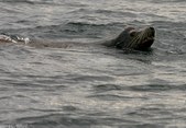 Enlarge photo 37