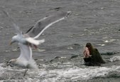 Enlarge photo 40