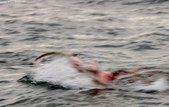 Enlarge photo 41