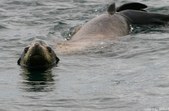 Enlarge photo 42