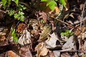 Enlarge photo 122