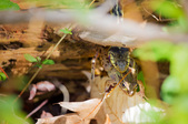 Enlarge photo 123