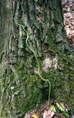 Enlarge photo 50