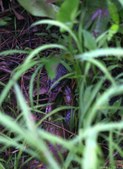 Enlarge photo 52