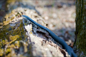 Enlarge photo 104