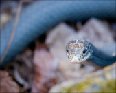 Enlarge photo 106