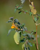 Enlarge photo 25