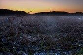 Enlarge photo 48