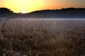 Enlarge photo 49
