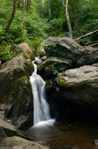Enlarge photo 28