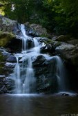 Enlarge photo 31