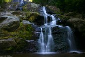 Enlarge photo 32