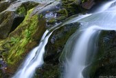Enlarge photo 34