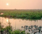 Enlarge photo 44