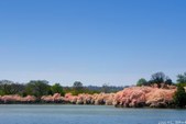 Enlarge photo 37