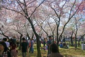 Enlarge photo 38