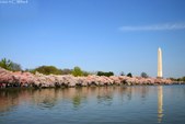Enlarge photo 42