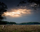 Enlarge photo 57