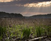 Enlarge photo 55