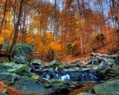 Enlarge photo 65