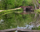 Enlarge photo 66