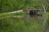 Enlarge photo 45